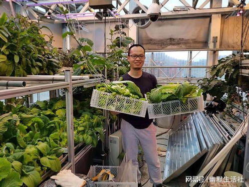 南极冰原上的中国菜园 万年冰雪中的种族天赋