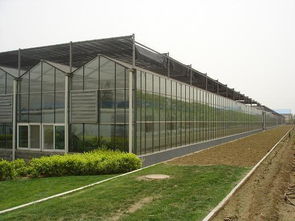 河北邯郸温室骨架加工厂 科技助力大棚种菜的精准选择